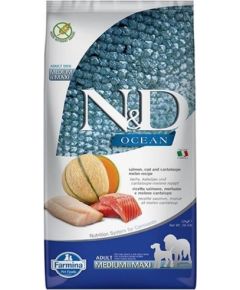 FARMINA N&D Ocean Dog Salmon, Cod, Cantaloupe, Melon Adult Medium&Maxi - dry dog food - 12 kg