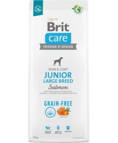 Dry food for young dog (3 months - 2 years), large breeds over 25 kg - Brit Care Dog Grain-Free Junior Large salmon 12kg