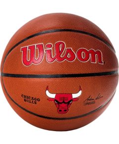 Ball Wilson Team Alliance Chicago Bulls Ball WTB3100XBCHI (7)