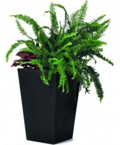 Keter Puķu pods Rattan Planter S 23,6L pelēks