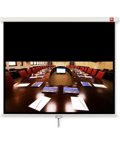 Avtek Business 200 projection screen 16:10