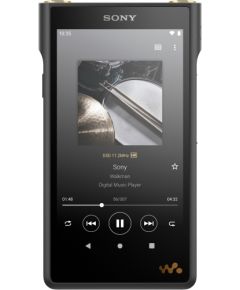 Sony MP3-плеер NW-WM1AM2 Walkman