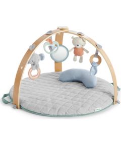 INGENUITY activity gym Cozy Spot, 12126