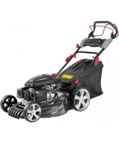 GRAPHITE 52G673 lawn mower Push lawn mower Petrol 4,35 KM 52,5 cm Black, Grey
