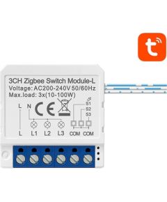 Smart Switch Module ZigBee Avatto LZWSM16-W3 No Neutral TUYA