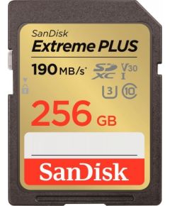 MEMORY SDXC 256GB UHS-1/SDSDXWV-256G-GNCIN SANDISK