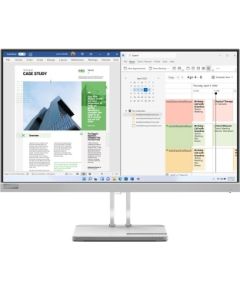 Lenovo L25e-40 62.2 cm (24.5") 1920x1080 pixels Full HD Grey