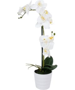Белая орхидея с 2 ветками IN GARDEN, H51см, белый горшок