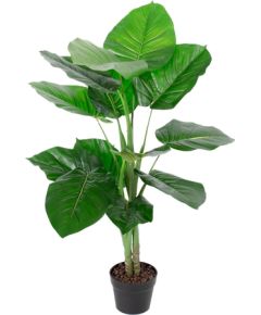 Зеленое растение POTHOS, H90см
