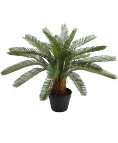 Mâkslîgs augs CYCAS H70cm, melns puíupods