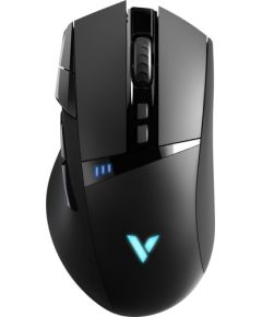 Rapoo VPRO Gaming VT350 wired/Wireless black, USB