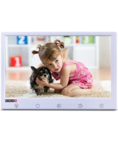 Provision PR-IPS7 ~ 7" TFT auto monitors PAL/NTSC DC12V