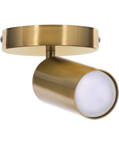 Activejet SPECTRA single gold ceiling wall lamp GU10 for living room