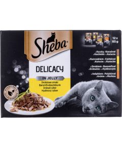 Sheba Delicacy in Jelly Chicken Flavours 12 x 85 g