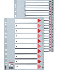 Sadalītājs dokumentiem Esselte A4 formāts, 1-31, plastikāta
