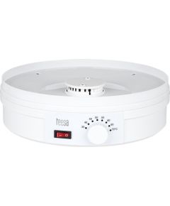 TEESA Mushrooms and fruits dehydrator