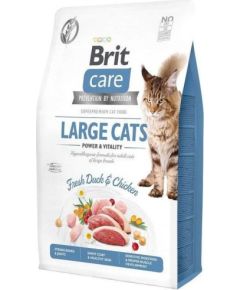 BRIT Care Grain-Free Adult Large Cats - dry cat food - 2 kg