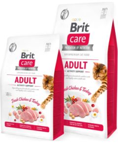 Brit 8595602540815 cats dry food 7 kg Adult Turkey