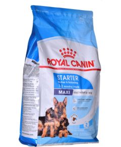 ROYAL CANIN SHN Maxi Starter Mother & Babydog - dry dog food - 4 kg