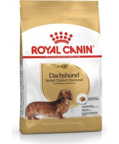 ROYAL CANIN Dachshund Adult - dry dog food - 7,5 kg