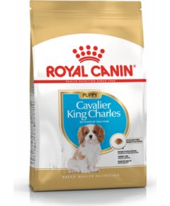 Royal Canin BHN Cavalier King Charles Spaniel Puppy - dry puppy food - 1.5kg