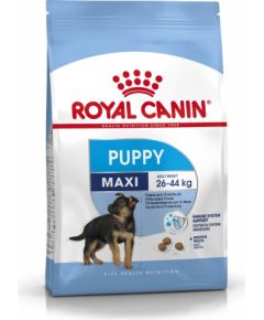 Royal Canin SHN Maxi Puppy - dry puppy food - 4kg