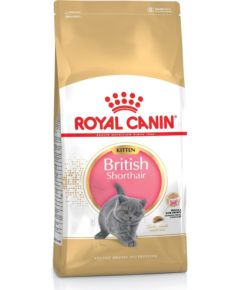 Royal Canin British Shorthair Kitten cats dry food 2 kg Poultry, Rice, Vegetable