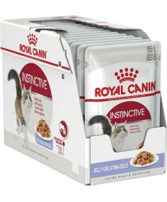 Royal Canin FHN Instinctive in jelly - wet food for adult cats - 12x85g