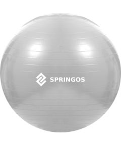 Vingrošanas bumba ar pumpi Springos FB0008 75cm