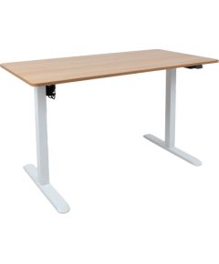 Desk ERGO LIGHT with 1 motor 120x60cm, white/oak