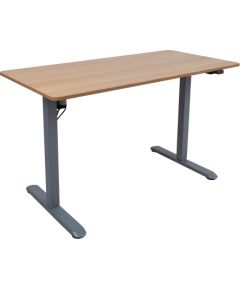 Desk ERGO LIGHT with 1 motor 120x60cm, silver grey/oak