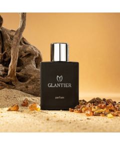 GLANTIER 793 PERFUME PREMIUM 22% FOR MEN 50 ML - Smaržas vīriešiem