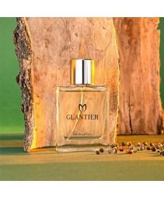 GLANTIER 728 PERFUME STANDART 18% FOR MEN 50 ML - Smaržas vīriešiem