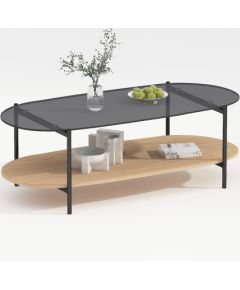 Coffee table CINDY 120x55xH40cm, grey glass/melamine oak