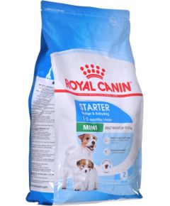 ROYAL CANIN SHN Mini Starter Mother & Babydog - dry dog food - 4 kg