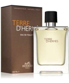 Hermes Terre D'Hermes Edt Spray 100ml