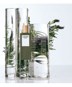 Loewe Esencia Pour Homme Edt Spray 100 ml Vīriešu Smaržas