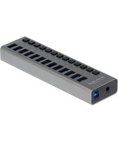 Delock External SS USB Hub 13Ports + Switch - 63738