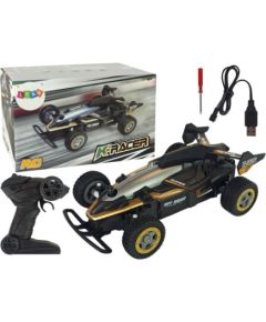 Lena Радиоуправляемая гоночная машина Racer USB 2,4 GHz 18 cm 6+ LE9392