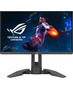 Monitors Asus ROG Swift Pro PG248QP (90LM08T0-B01370)