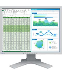 EIZO FlexScan S2134, LED monitor - 21.3 - gray, DisplayPort, DVI-D, VGA