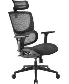 Sharkoon office chair OfficePal C30, gaming chair (black)