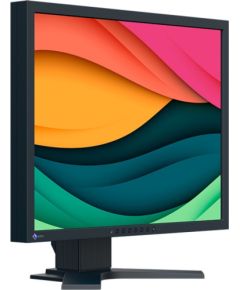 EIZO FlexScan S2134, LED monitor - 21.3 - black, DisplayPort, DVI-D, VGA