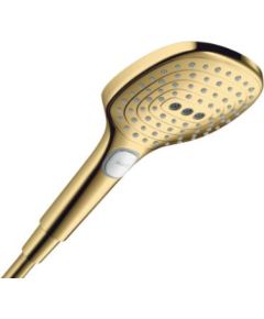 Hansgrohe rokas duša Raindance Select 120 3jet, polished gold optic