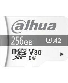 Dahua Technology TF-P100 MicroSDXC 256 GB Class 10 UHS-I U3 A1 V30 (TF-P100-256G)