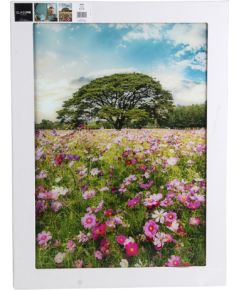 Foto glezna 50x70cm MEADOW