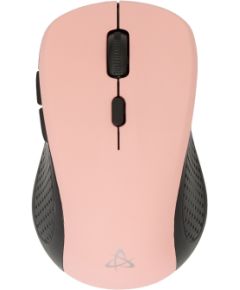 Sbox WM-993 Pink