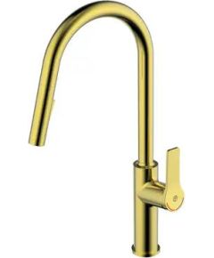 Gustavsberg virtuves izlietnes maisītājs ar izvelkamu dušu Epic, brushed brass Для раковины