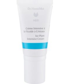 Dr. Hauschka Med / Ice Plant 50ml
