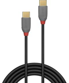 CABLE USB2 TYPE C 1M ANTHRA 36871 LINDY
